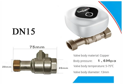 eWelink WiFi Smart Valve Water Gas Shutoff Automated Ball Valve DN15/DN20/DN25 Wireless Control for Alexa, Google, Alice