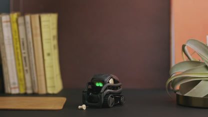 Vector 2.0 AI Robot Companion